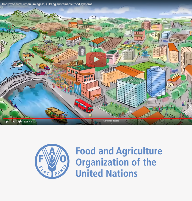 FAO Food for the Cities