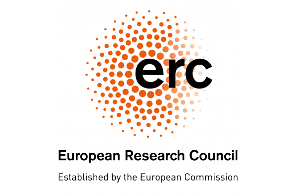 3 new ERC grants challenges